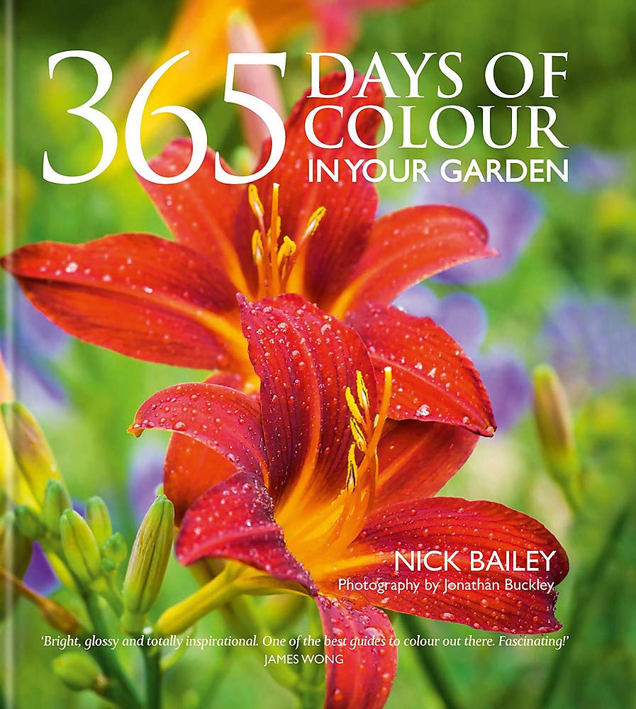 365 Days of Colour